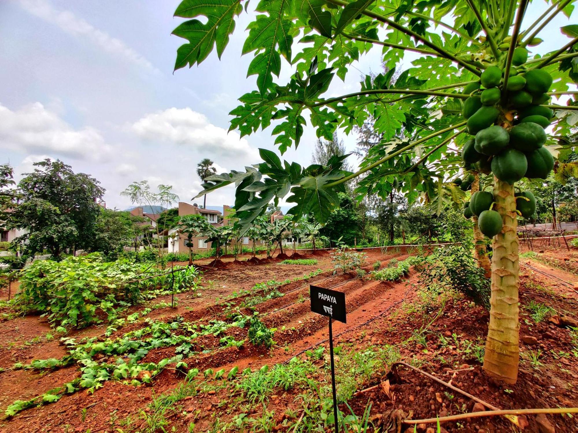 Pushpam Sanskruti Resort Karjat - A Pure Veg Resort Dhamni المظهر الخارجي الصورة