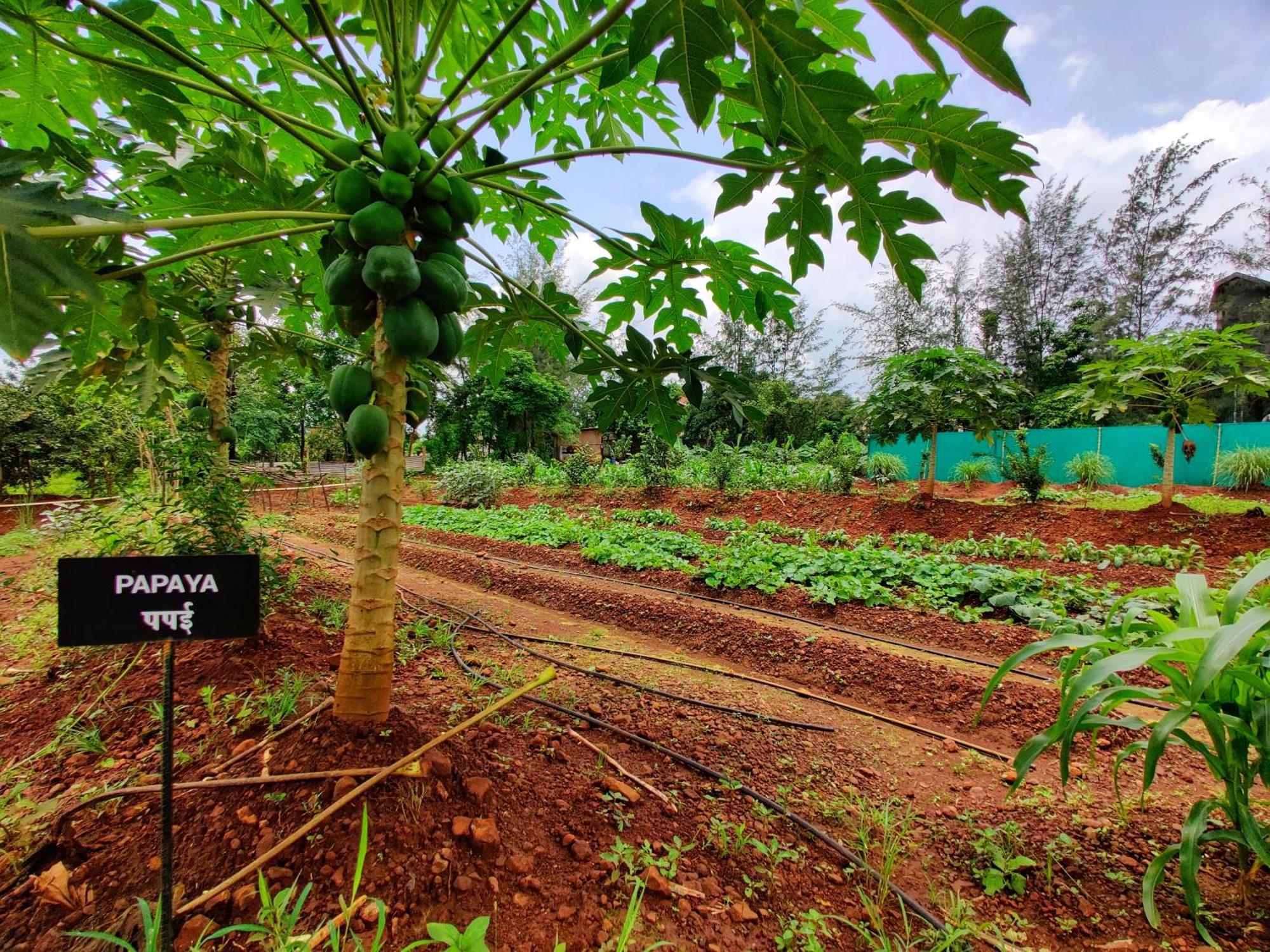 Pushpam Sanskruti Resort Karjat - A Pure Veg Resort Dhamni المظهر الخارجي الصورة