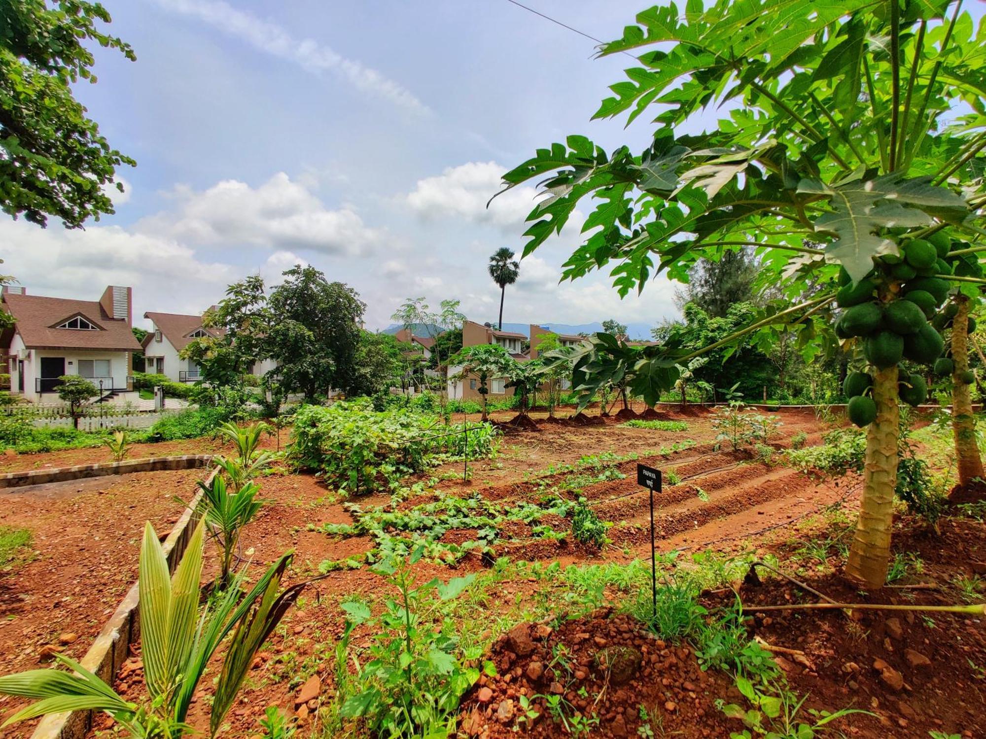 Pushpam Sanskruti Resort Karjat - A Pure Veg Resort Dhamni المظهر الخارجي الصورة